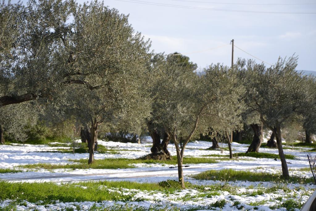 Terre Di Senia Farm stay